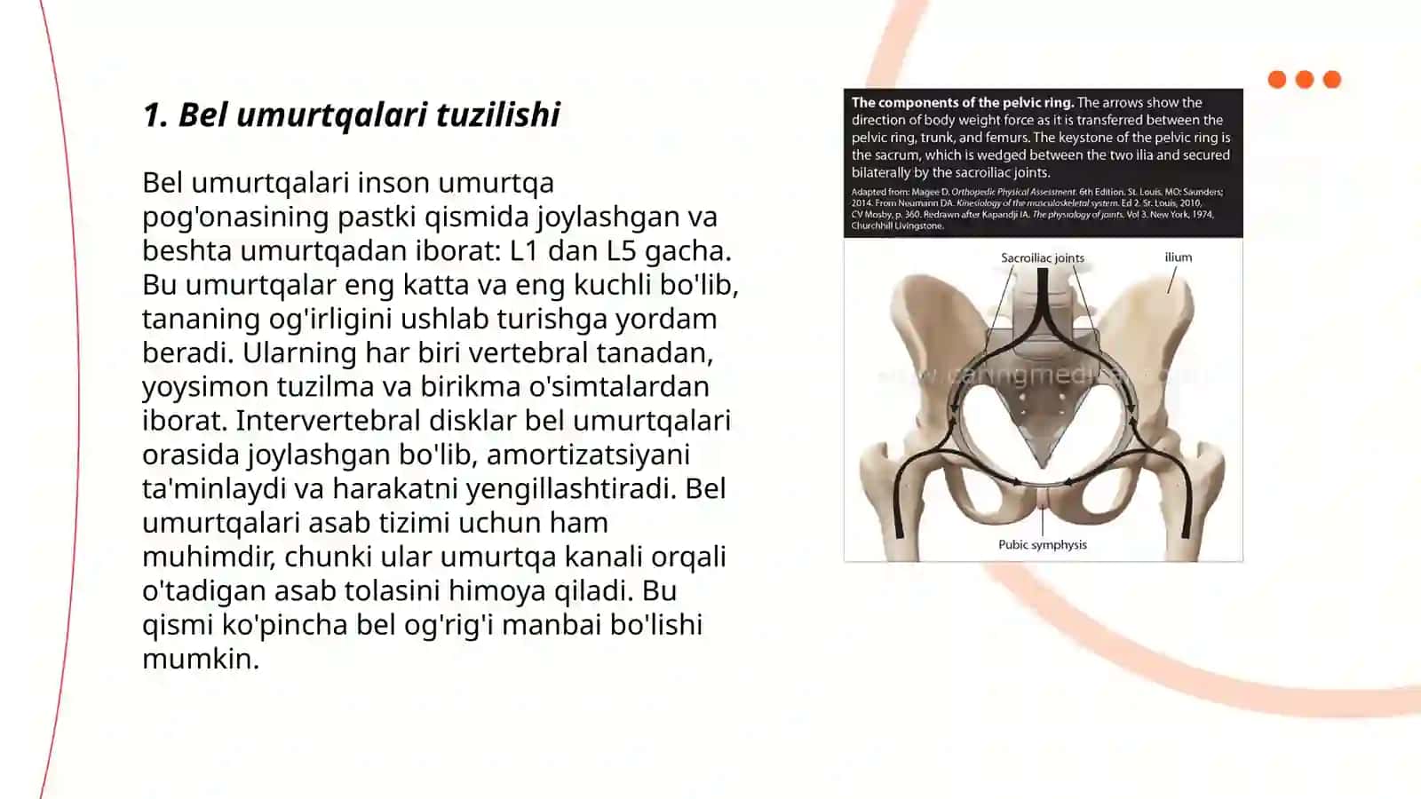 Chanoq kamari va Oyoqning erkin suyaklari 3