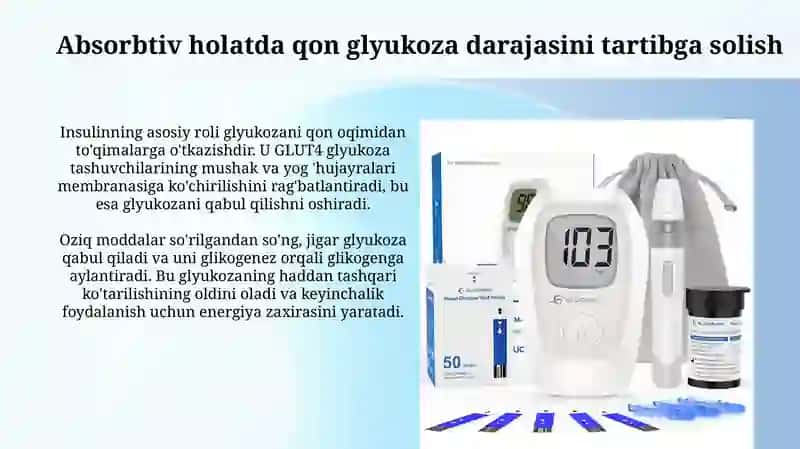 Absorbtiv va postabsorbtiv holatlarda qonda glyukoza miqdorini boshqarilishi 3