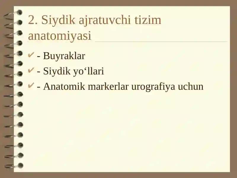 Siydik ajratuvchi yo‘llar va jinsiy a’zolar kasalliklarining nur tashxisi 3