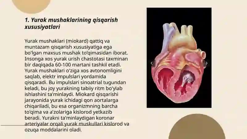 Yurak mushaklarining fiziologik vazifalari.Normal EKG 3