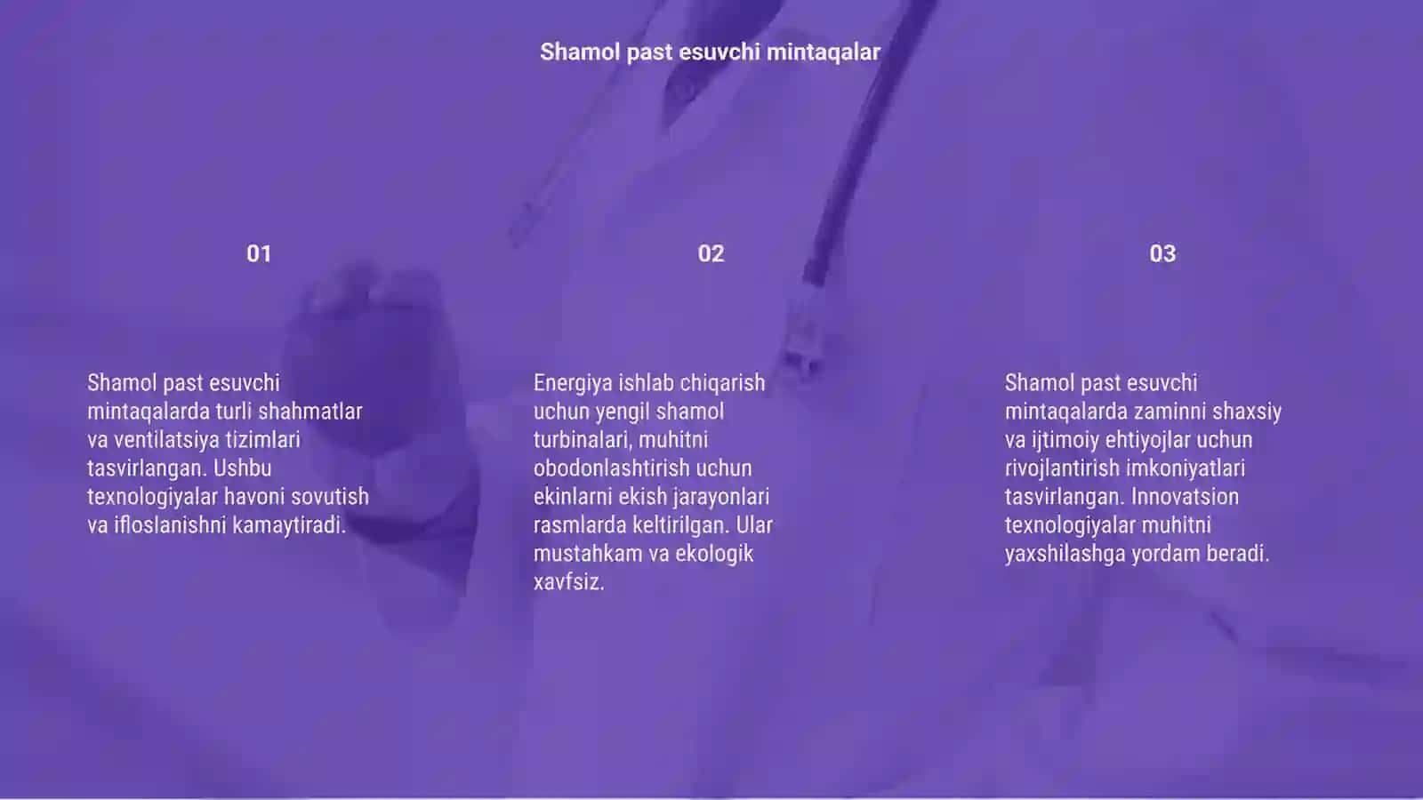 Shamol past esuvchi mintaqalarda ihotazorlar barpo etish texnologiyasi 3