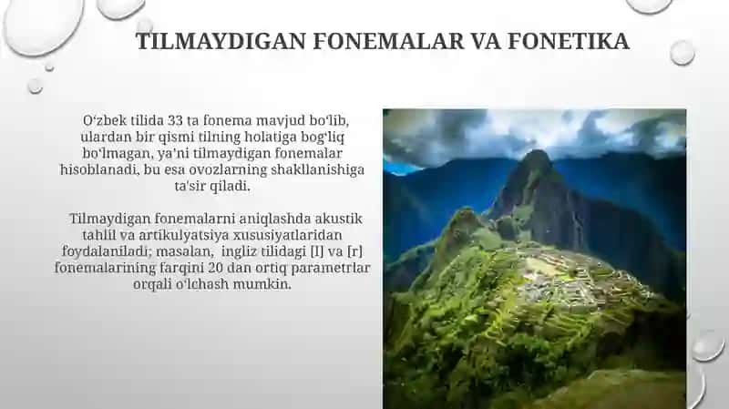Tilning fonemalar tizimi. Fonema nazariyasi tarixidan 3