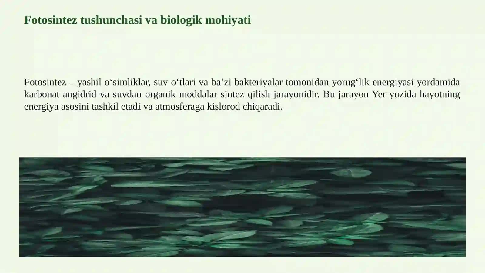 FOTOSINTEZ JARAYONI VA UNING TABITADAGI AHAMIYATI 3