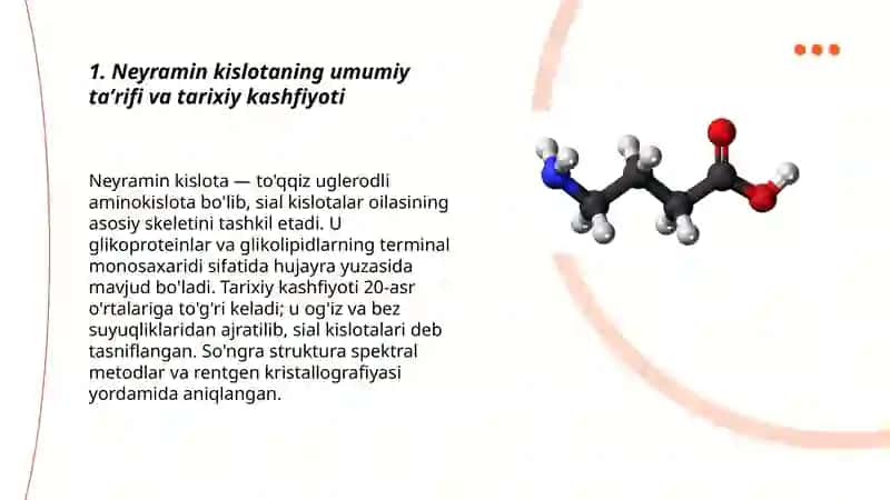 Neyramin kislotaning umumiy taʼrifi va tarixiy kashfiyoti 3