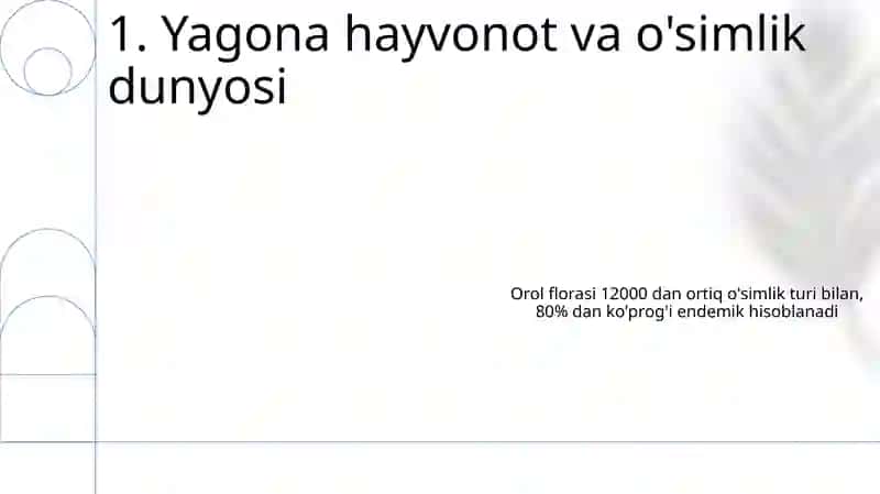 Madagaskar oroli 3