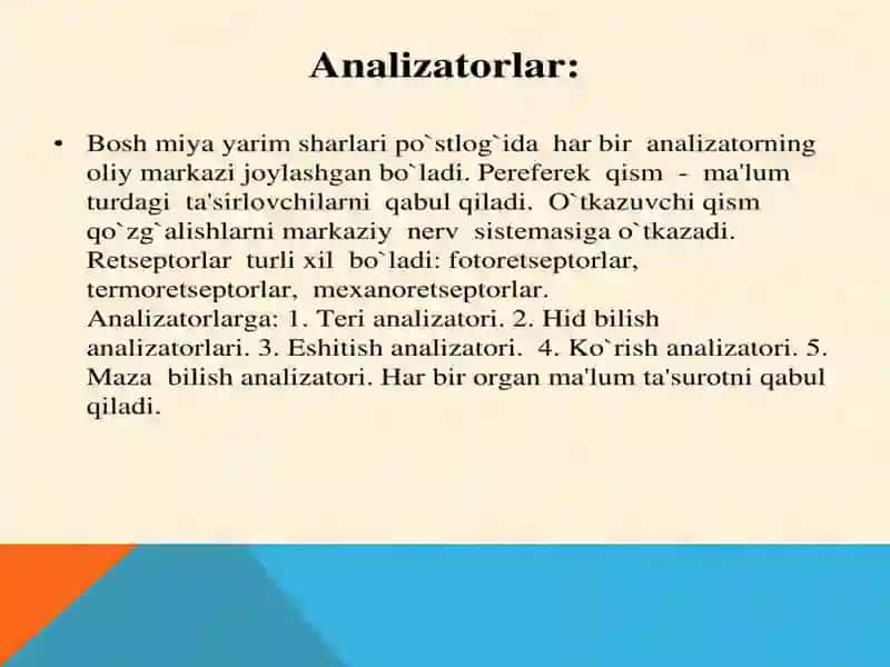 ANALIZATORLAR VA ULARNING YOSH XUSUSIYATLARI 3