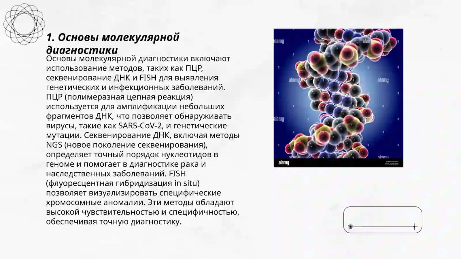 Молекулярная ипикация 3