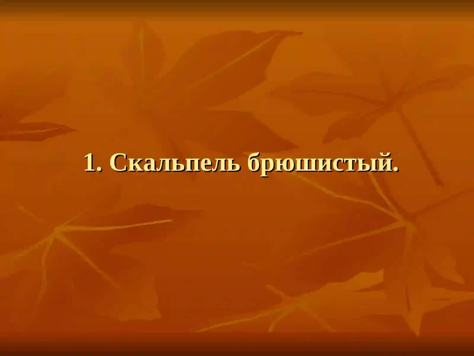 Самоподготовка к экзамену 3
