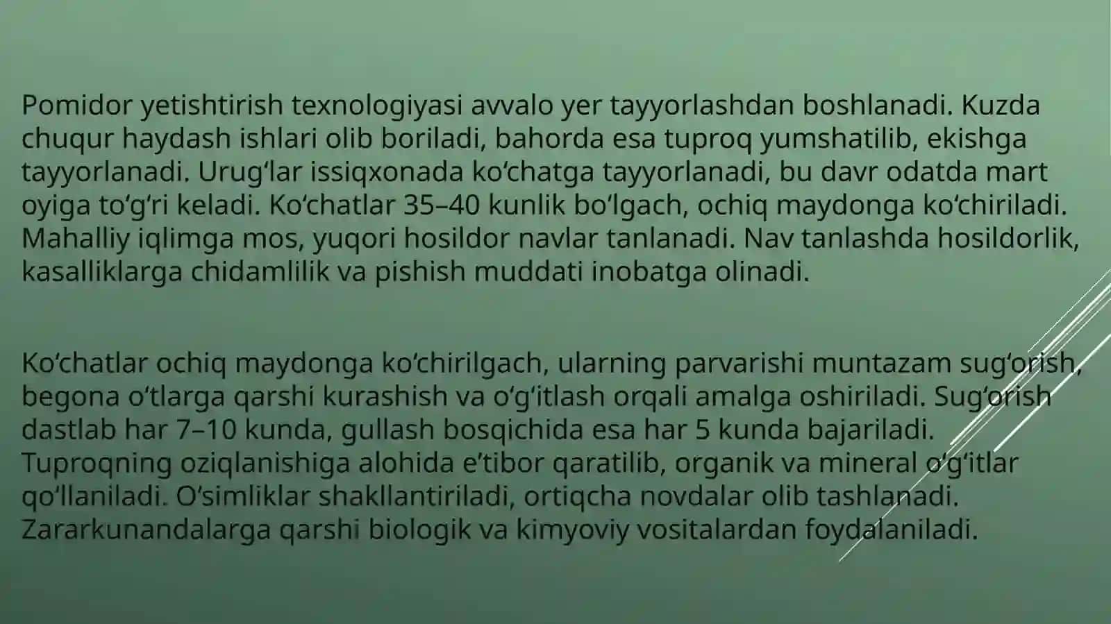 Pomidor yetishtirish agrotexnalogik xaritasi 3