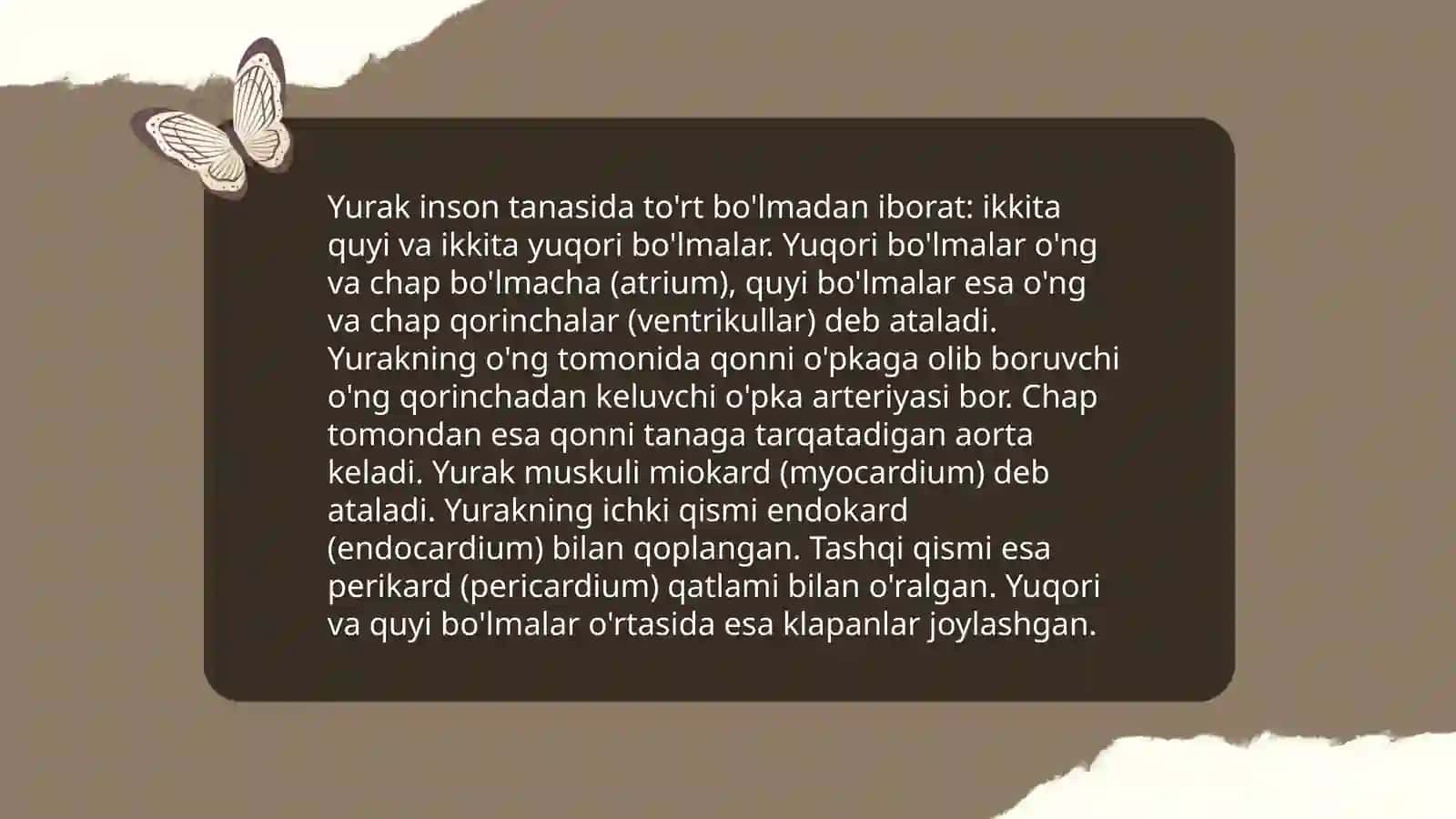 Yurak anatomiyasi va gistalogiyasi 3