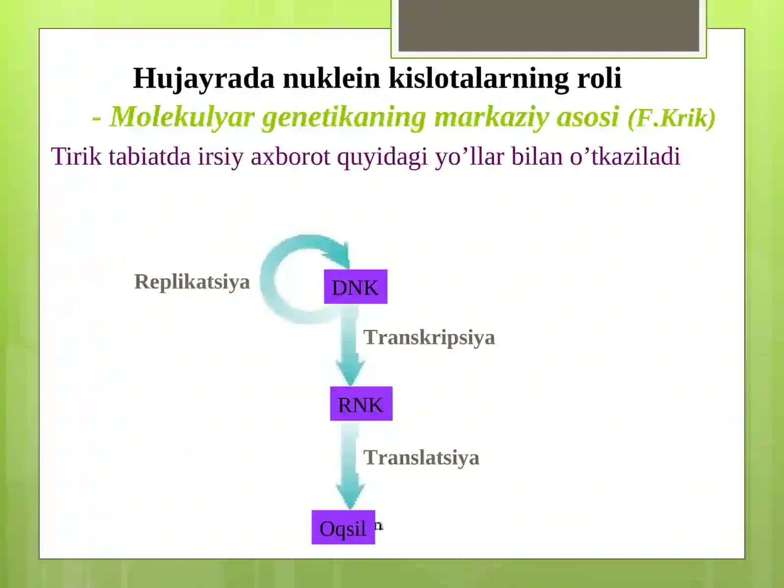 NUKLEIN KISLOTALAR TUZILISHI VA FUNKSIYALARI 3
