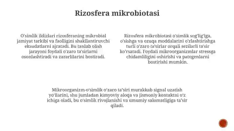O'simlik va Mikroorganizm O'zaro Ta'sir 3