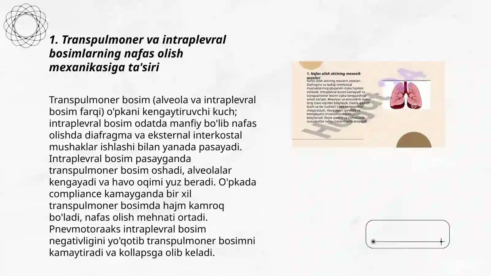 Nafas olish akti: Mexanikasi va markaziy boshqaruvi 3