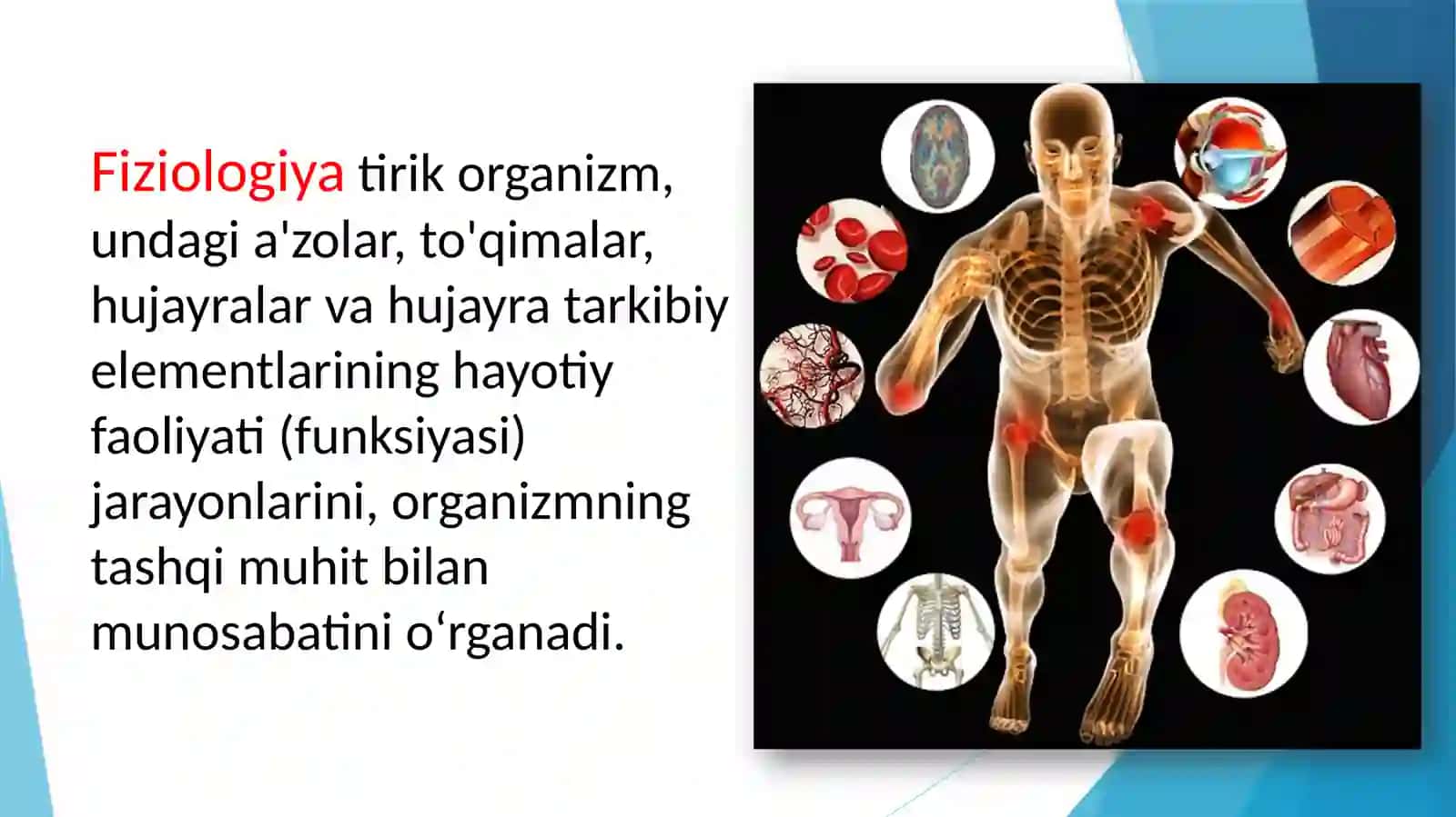 Fiziologiya fani, rivojlanishi, tibbiyotda axamiyati. Fiziologik tekshiruv usullari 3