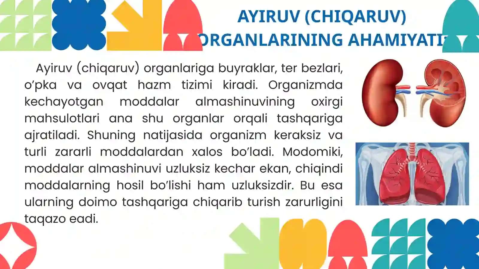 Ayiruv tizimi fiziologiyasi. Buyraklar funksiyasi. Siydik hosil bo‘lish mexanizmi. Nefronning tuzilma-faoliyat tavsifi. Buyraklarning sekretor faoliyati 3