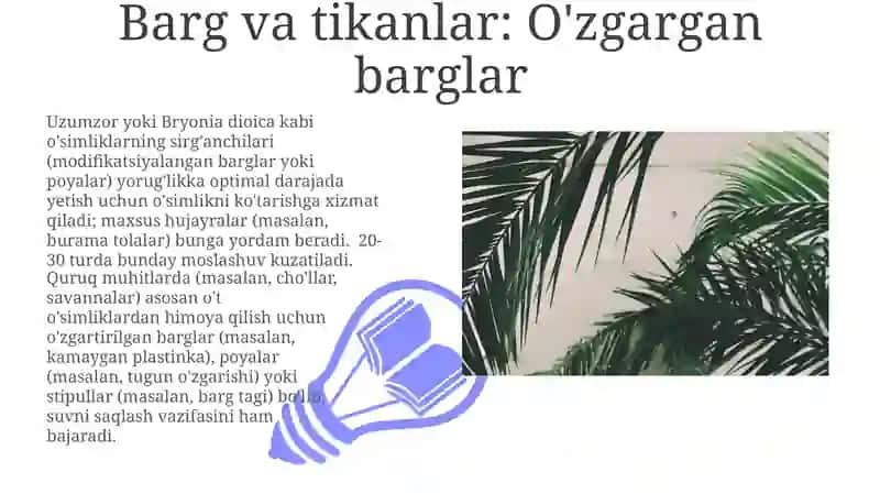 Ildiz Metamorfozi 3