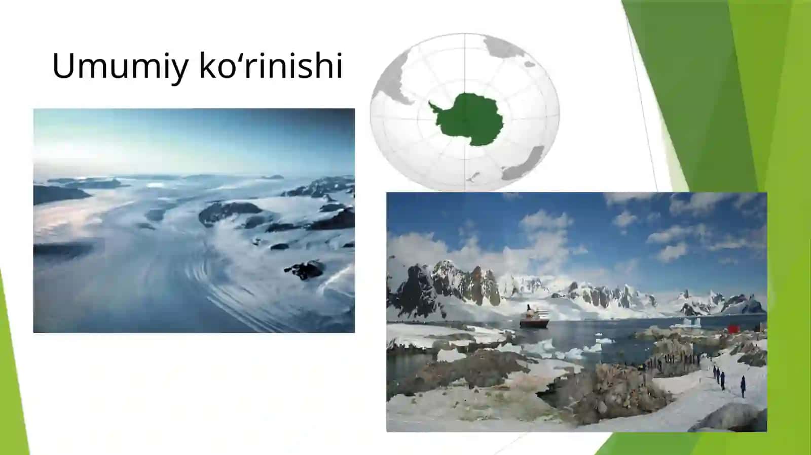 Golantarktik floristik olami 3