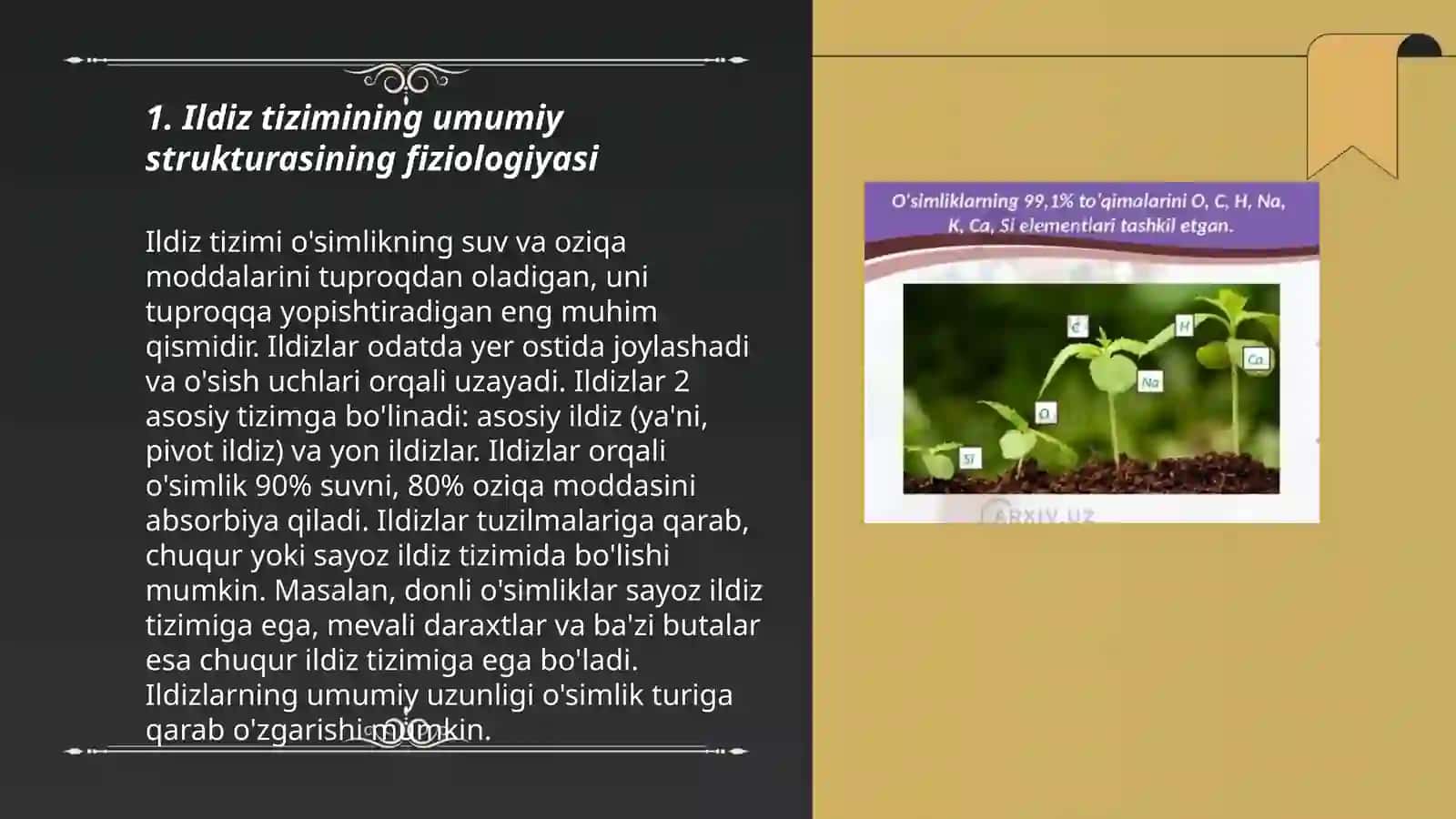 O'simliklarni ildiz tizimining fiziologik xossalari 3