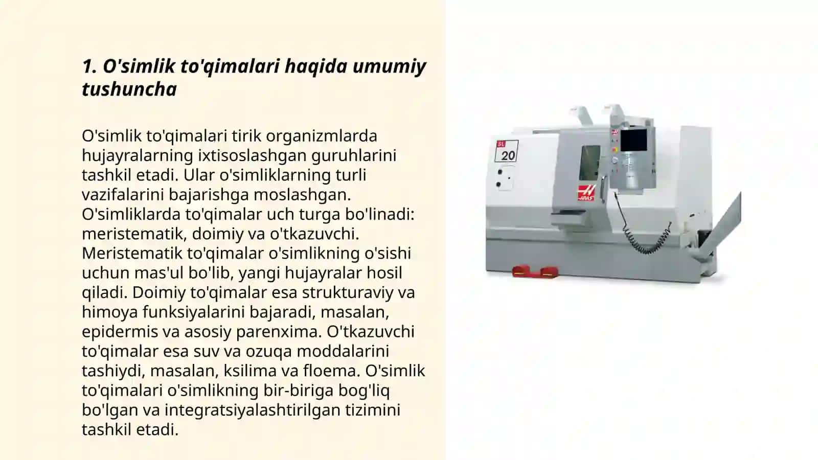 O'simlik To'qimalari 3