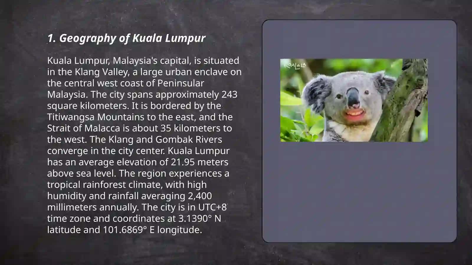 Kuala 3