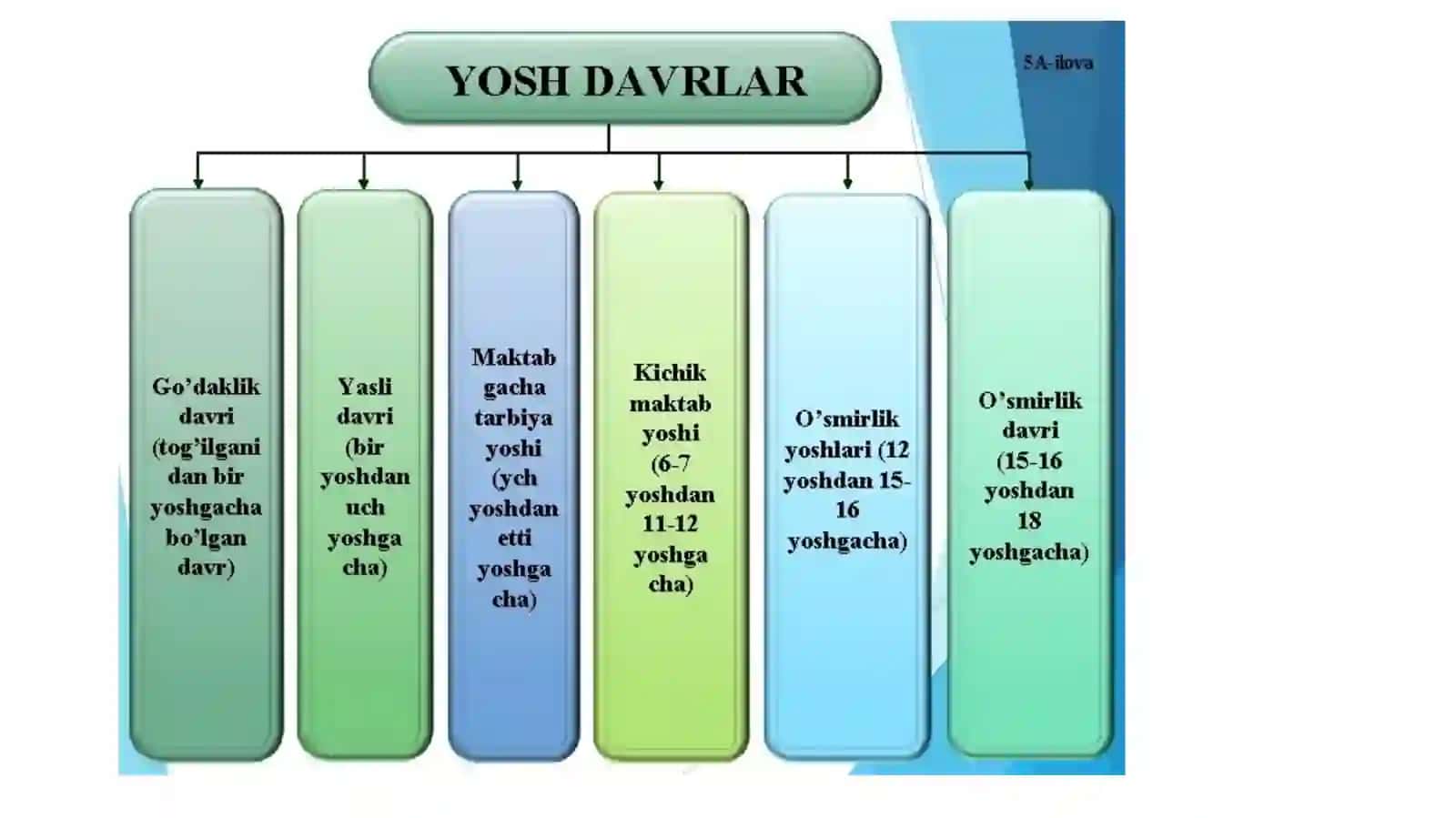 Go’daklik davrida muloqot va nutqning rivojlanishi 3