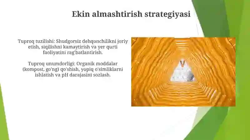 Tuproq unumdorligi va strukturasini yaxshilashga qaratilgan tadbirlar 3