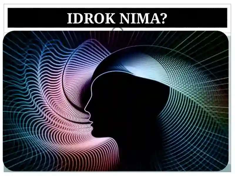 IDROK 3