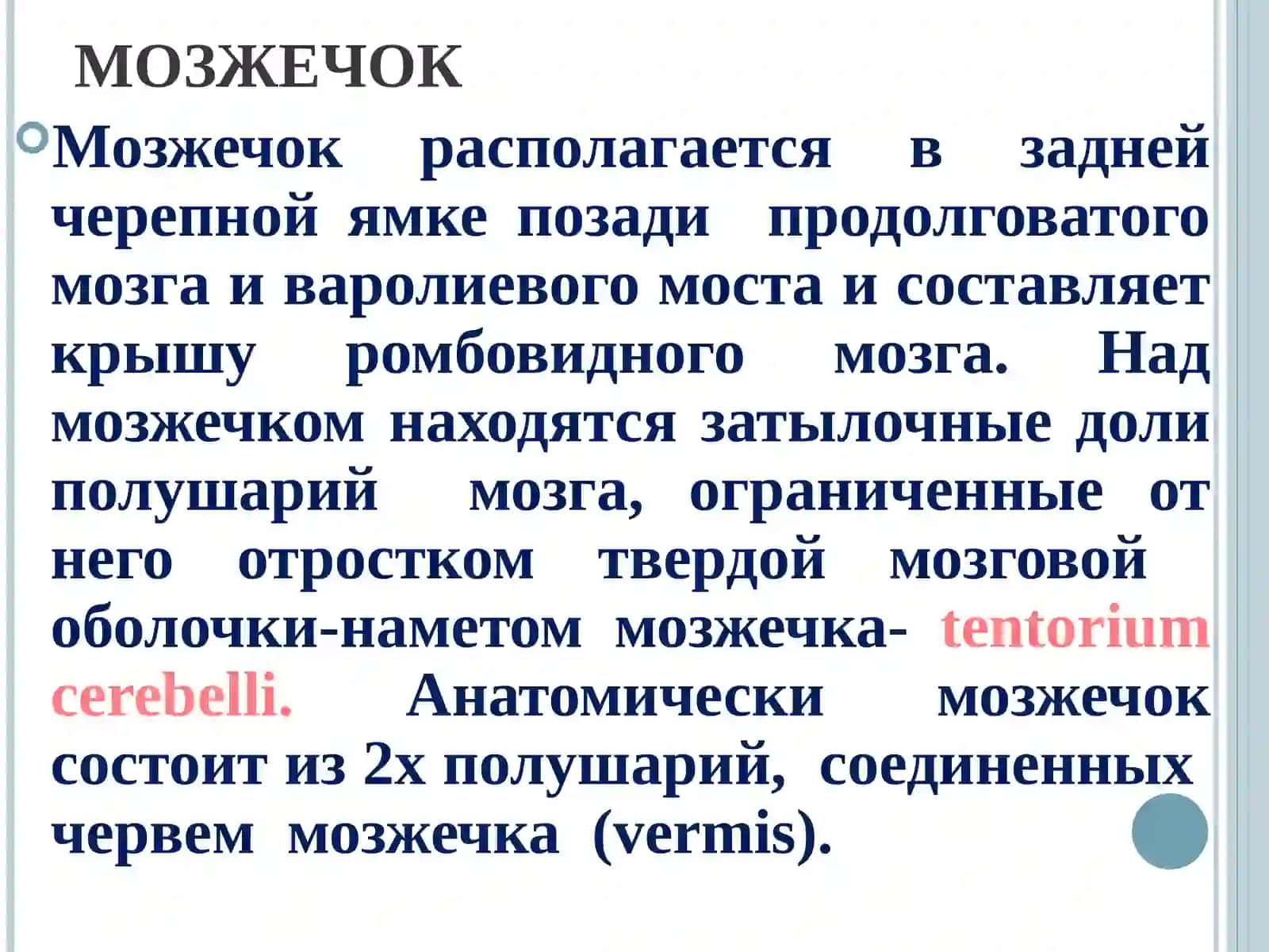 МОЗЖЕЧОК 3