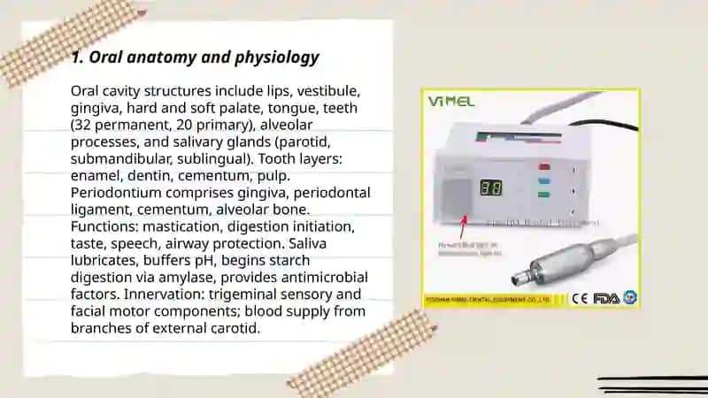 Denstry 3