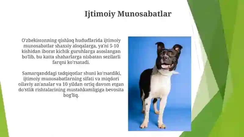 Shaxsning individual xislatlari 3