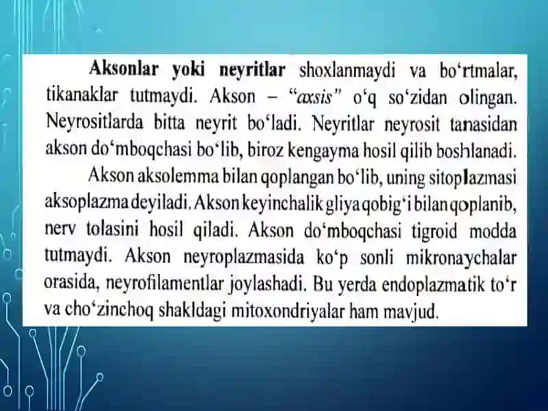 AKSON VA DENTRITGA 3