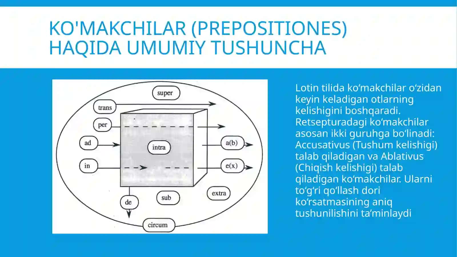 Lotintiliterminalogiya 3