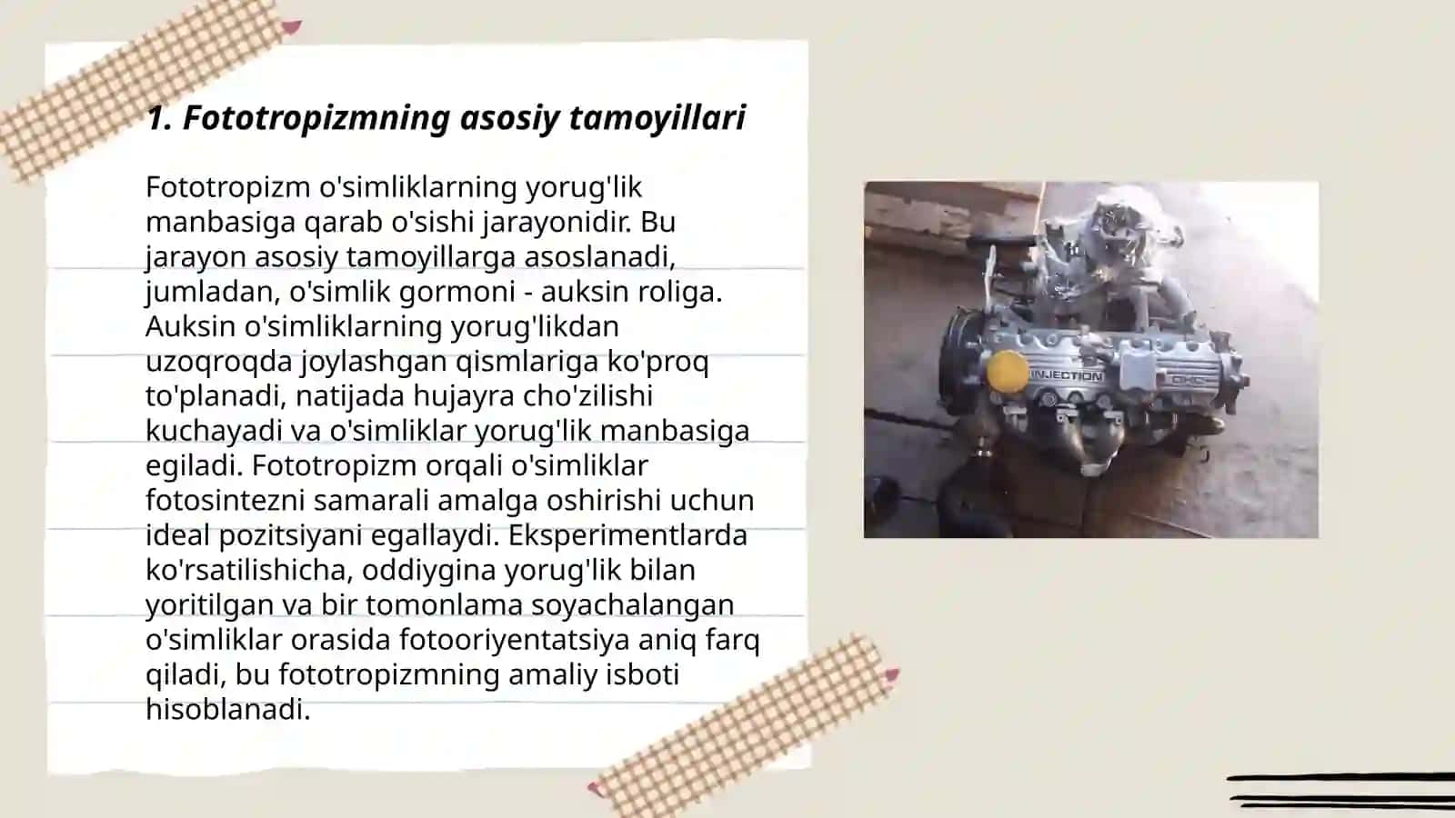O‘simliklardagi fototropizm, fotonastiya, geotropizm hodisalarini kuzatish 3