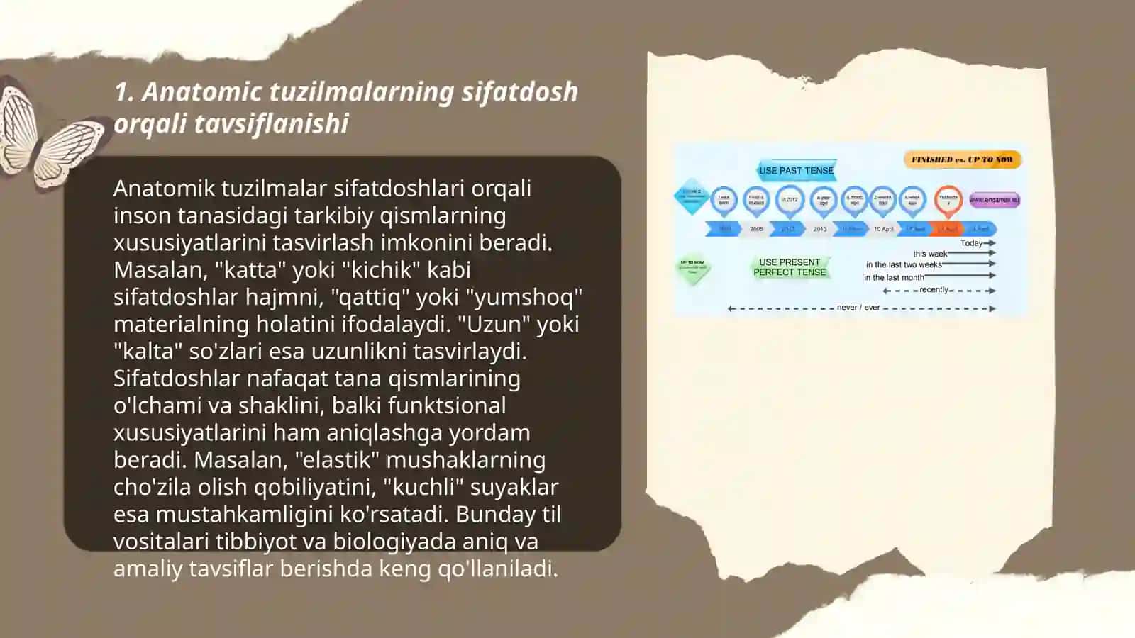 Anatomic va Gistalogik Nomenklaturalar 3