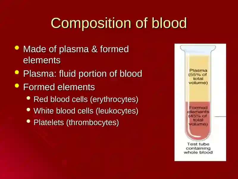 Functions of Blood 3