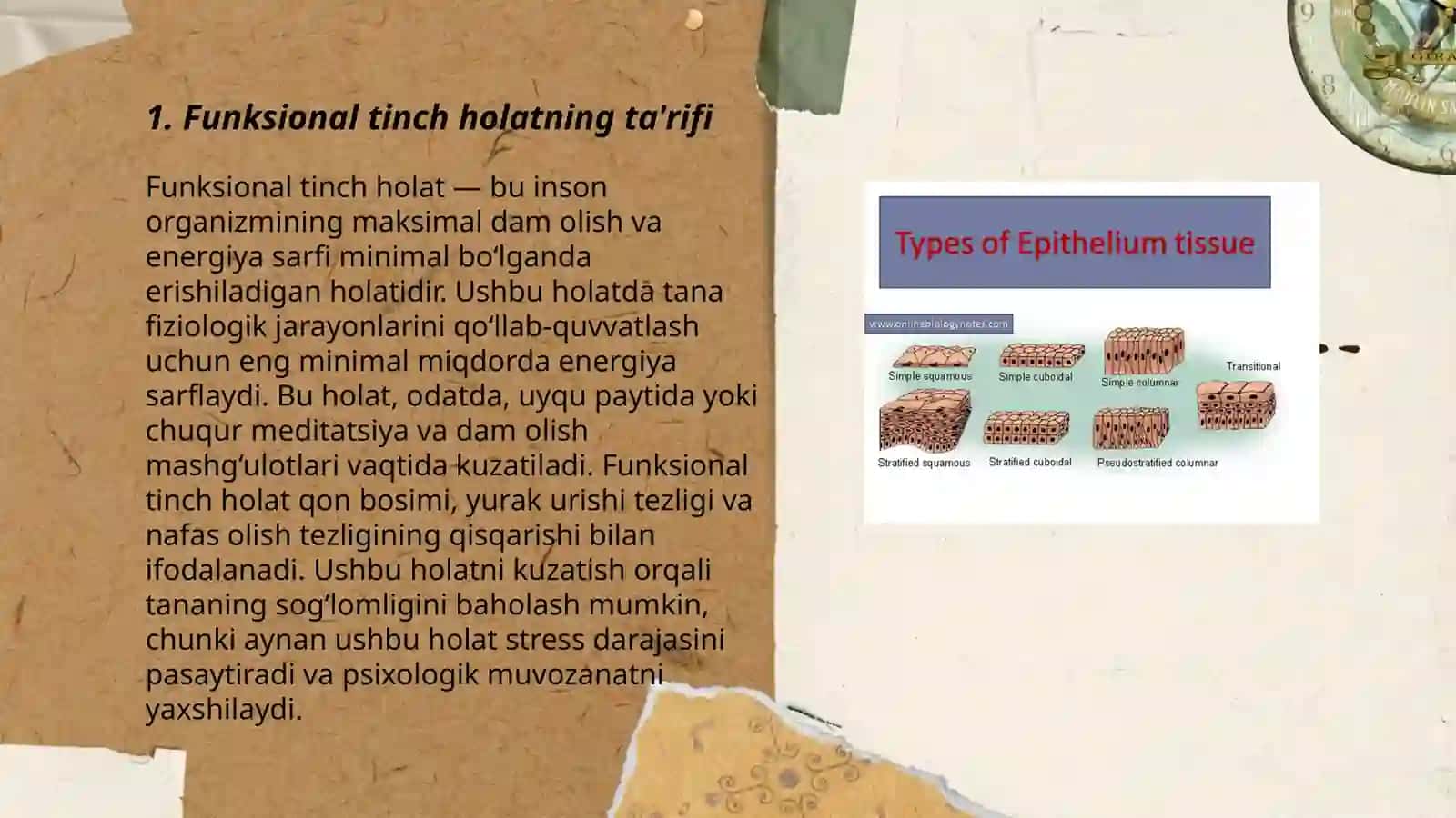 Bez toqimasining elektrofizologiyasi 3
