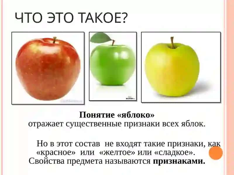 ЛОГИКА 3