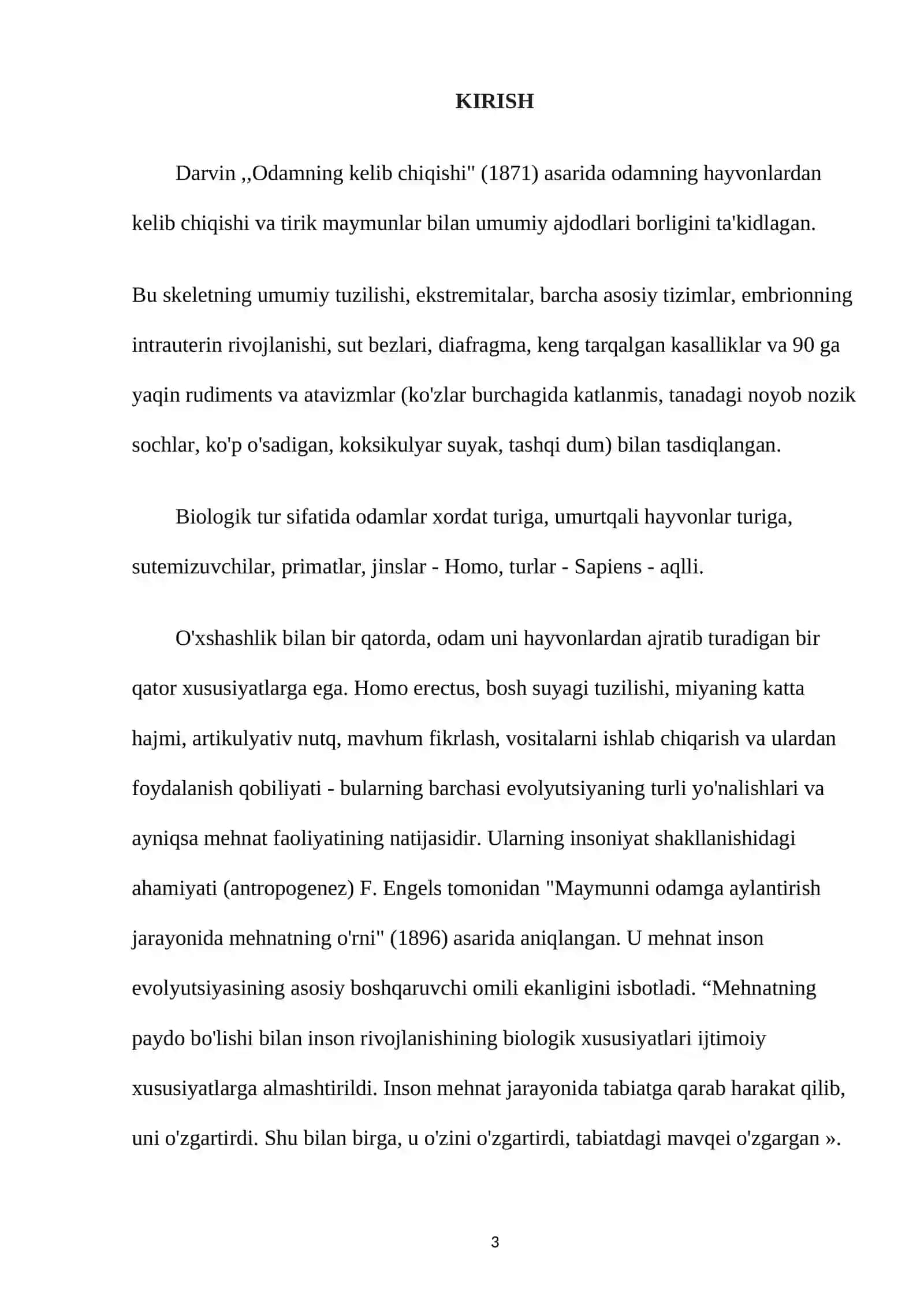 Primatlar evolyutsiyasining asosiy bosqichi 3