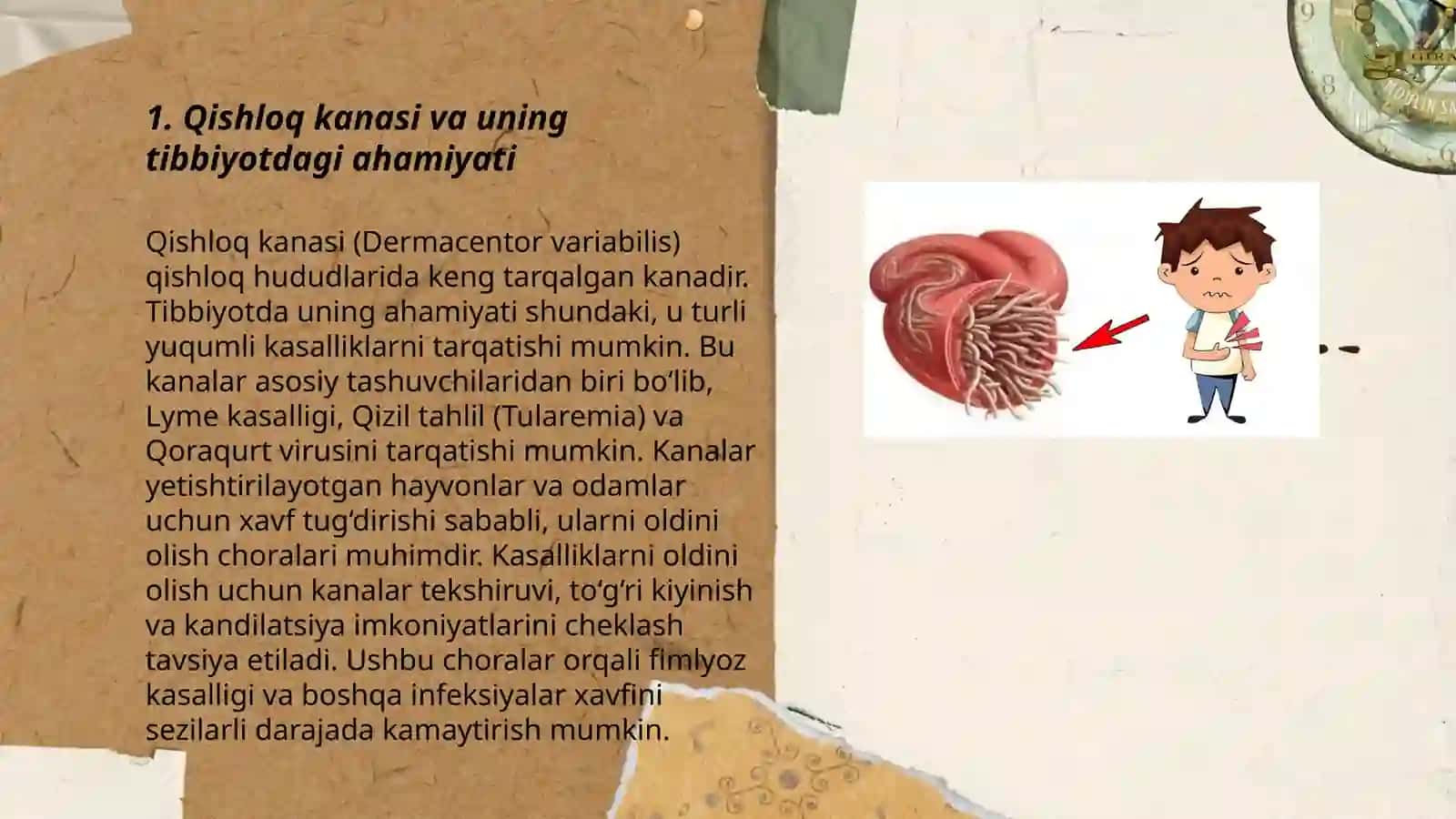 Tibbiyotda ahamiyatga ega bo‘lgan o‘rgimchaksimonlar 3