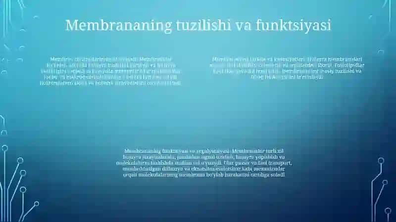 Hujayra Va Organellalarning Morfologik Jihatdan Tuzilmaviy Asosi 3