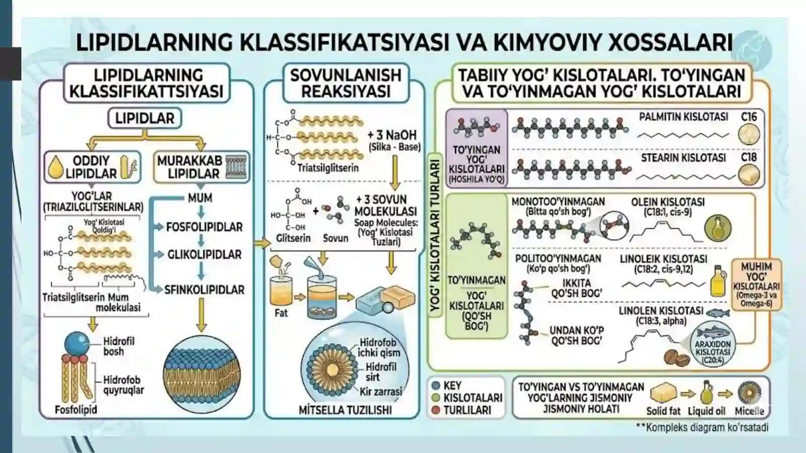 Lipidlar.Sovunlanadigan oddiy lipidlar.Uchatsilglitseridlar. 3