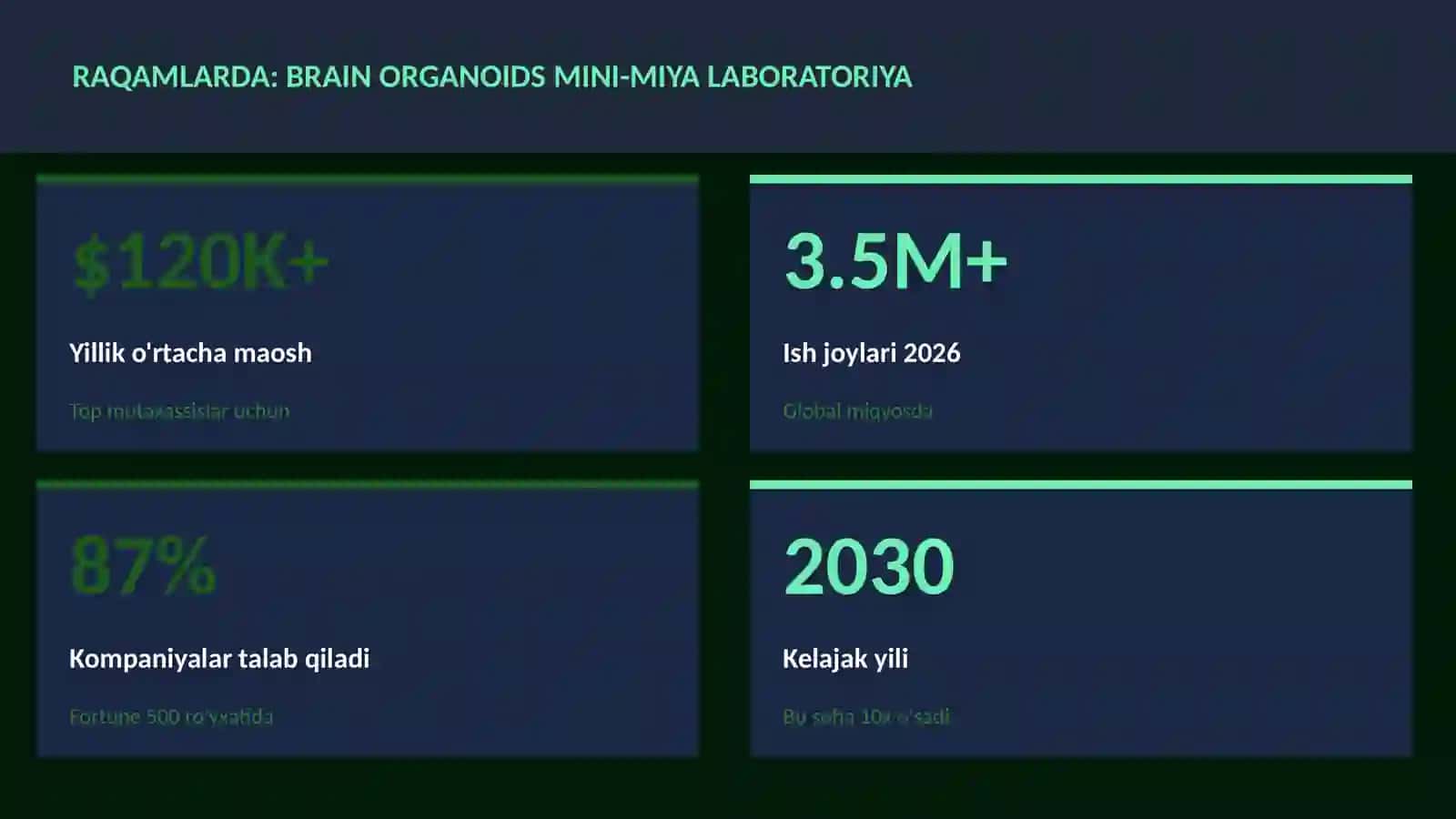 Brain organoids mini-miya laboratoriya 3