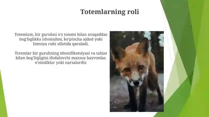 Totemizm 3
