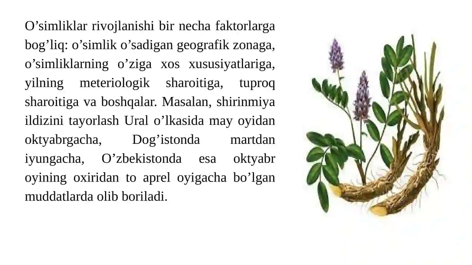 O’simliklarni tayyorlash usullari 3
