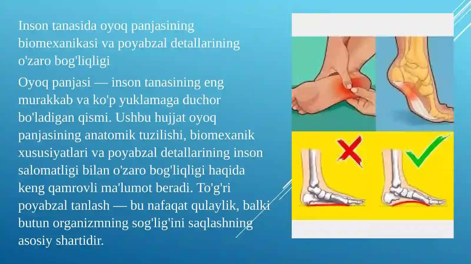 Odam tanasida oyoq panjasining biomexanikasi bilan poyabzal detallarining ishi o‘rtasidagi bog‘liqlik 3