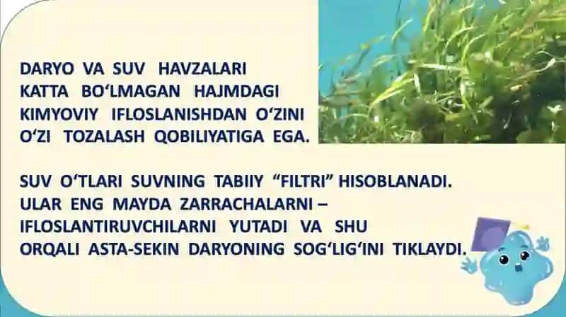 Oriental Universiteti Pedagogika 3