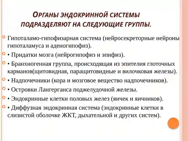 АФО органов эндокринной системы и семиотика их поражения 3