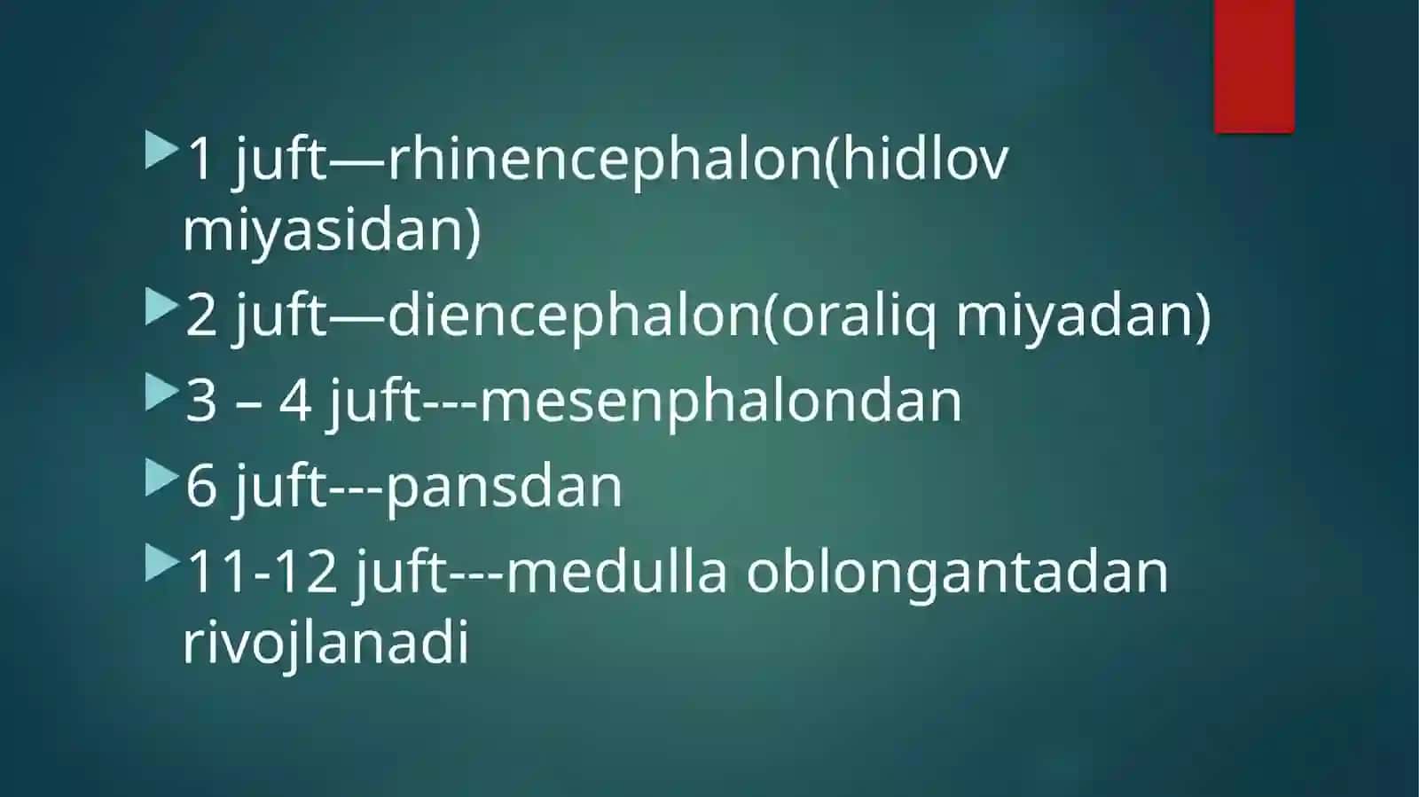 Nervic raniales Anatomical 3