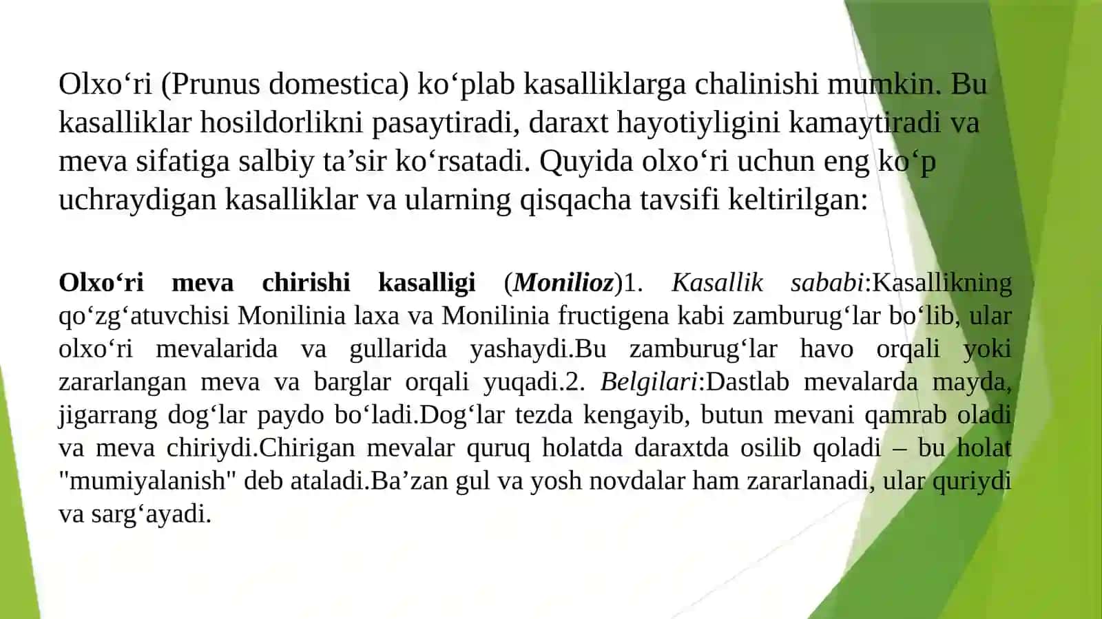 Olxoʻri kasalliklari va ularga qarshi kurash chora tadbirlari 3