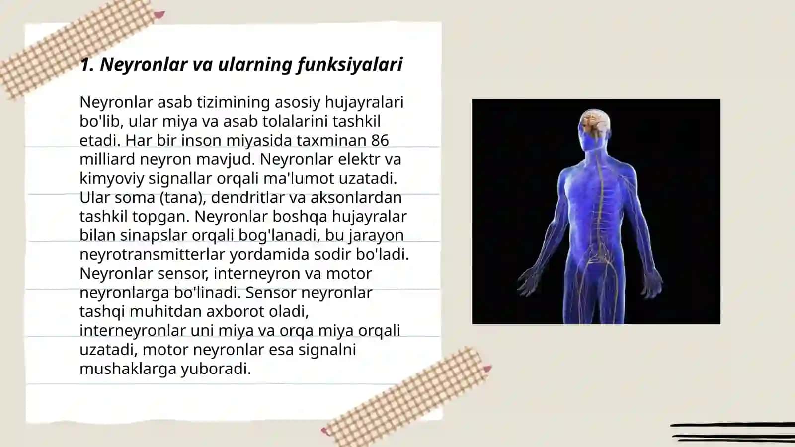 Xotiraning neyrofiziologik asoslari 3